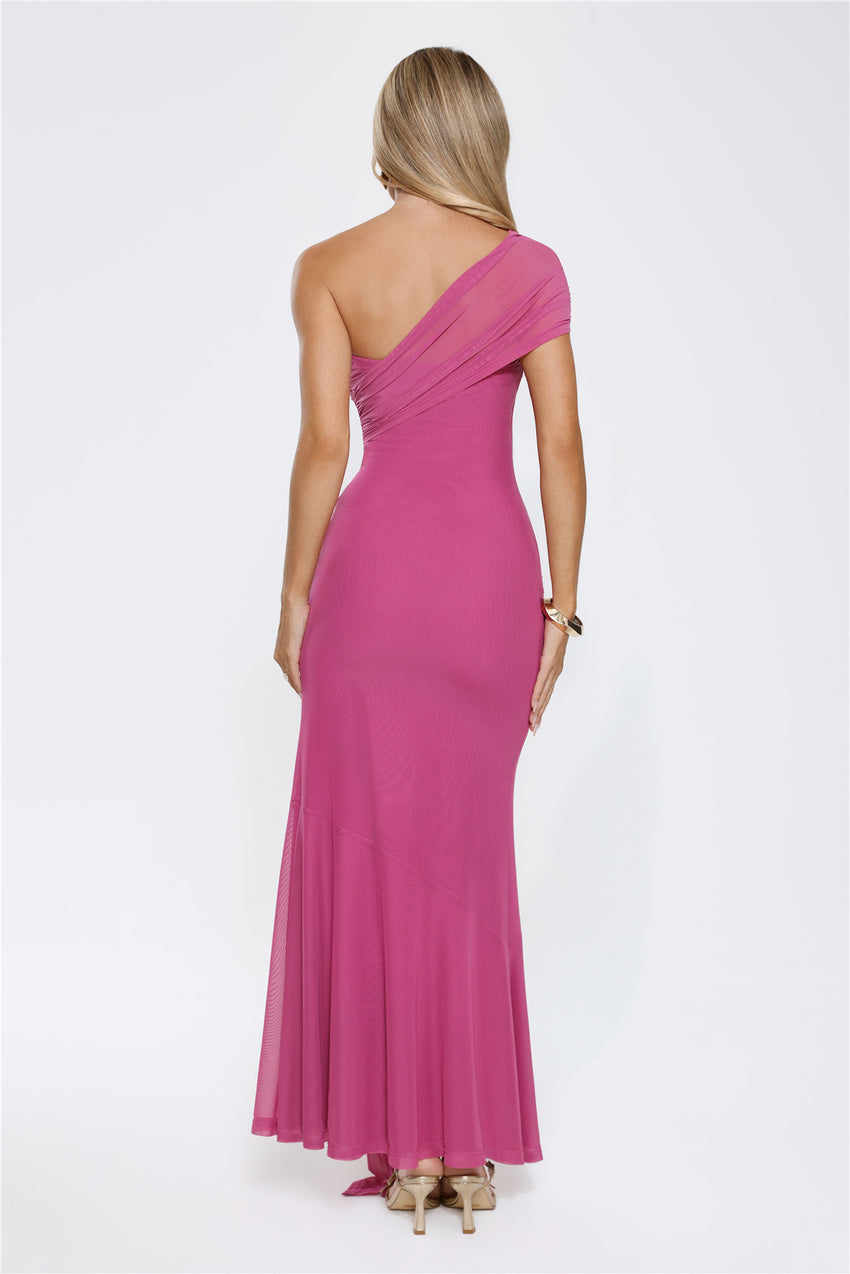 Rose And Moon One Shoulder Mesh Maxi Dress Pink