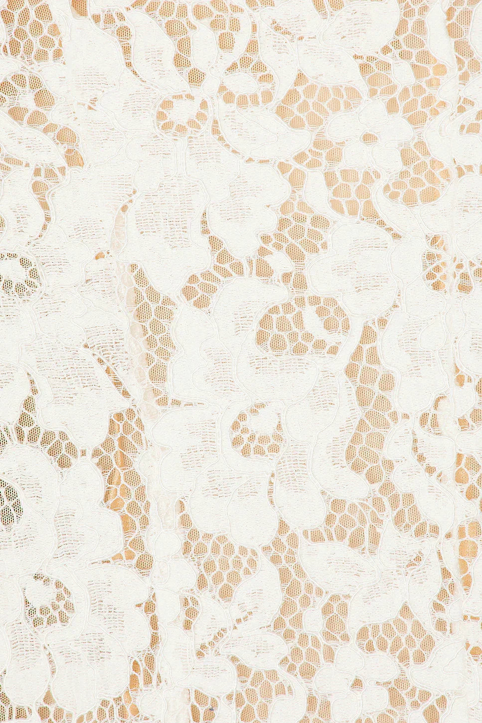 Sophia Lace Mini Dress