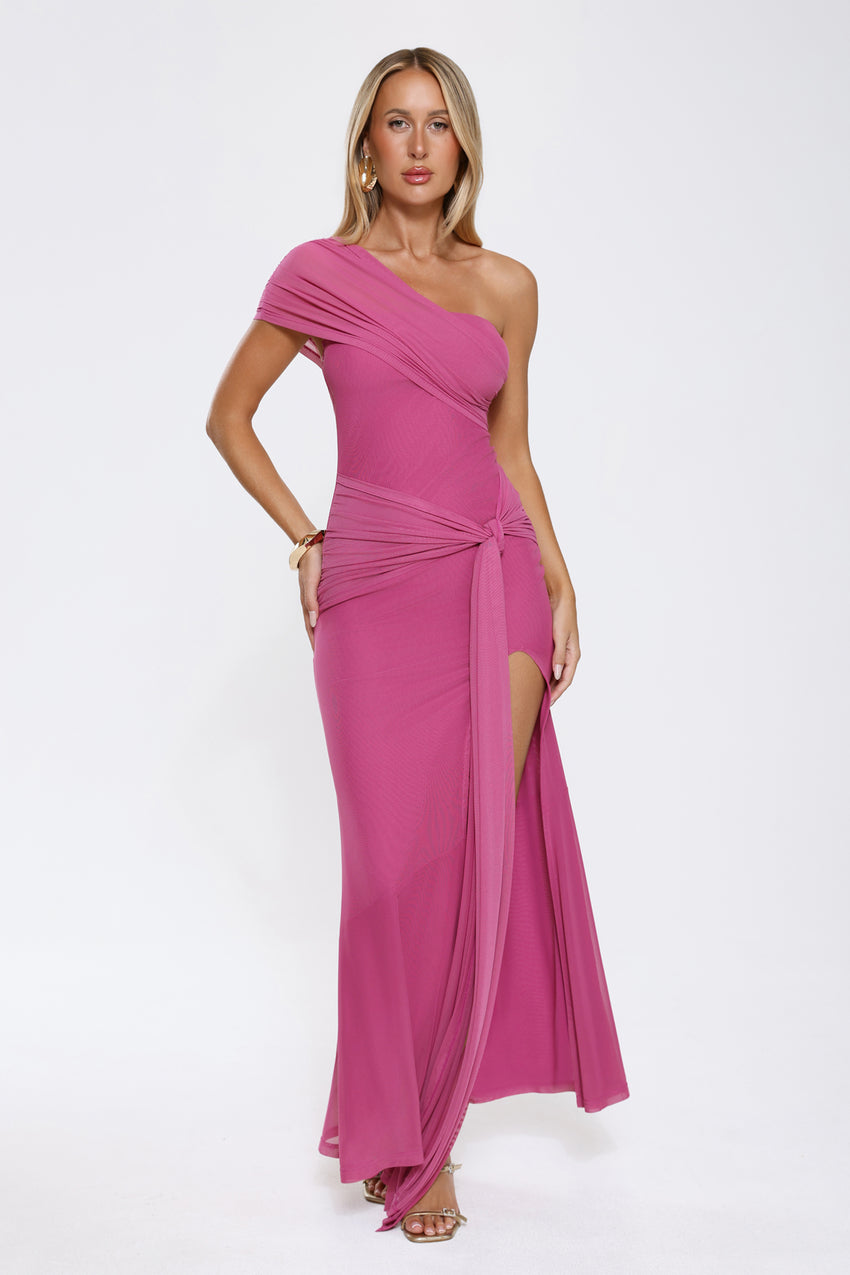 Rose And Moon One Shoulder Mesh Maxi Dress Pink