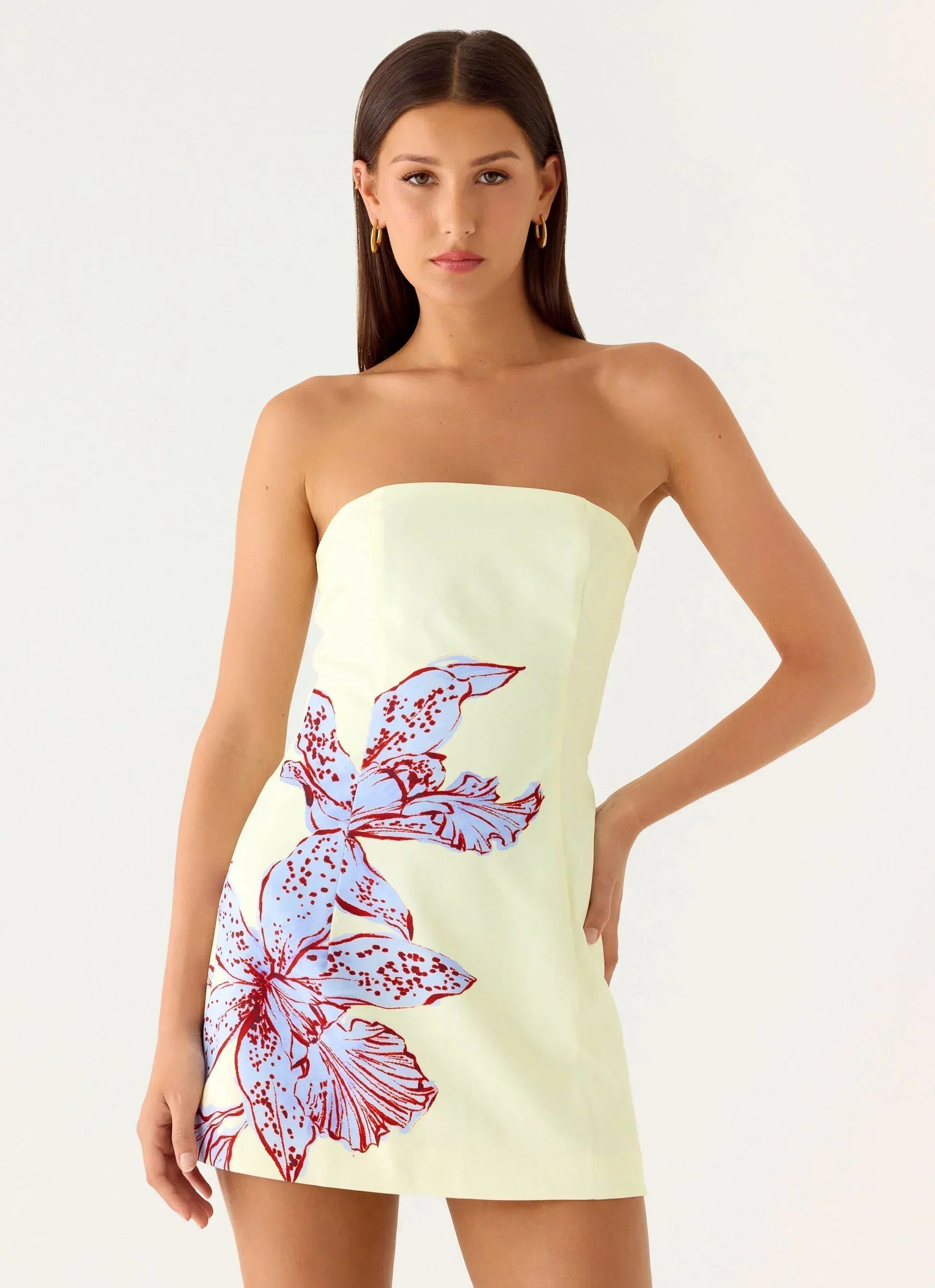 Denby Strapless Mini Dress - Purple Floral