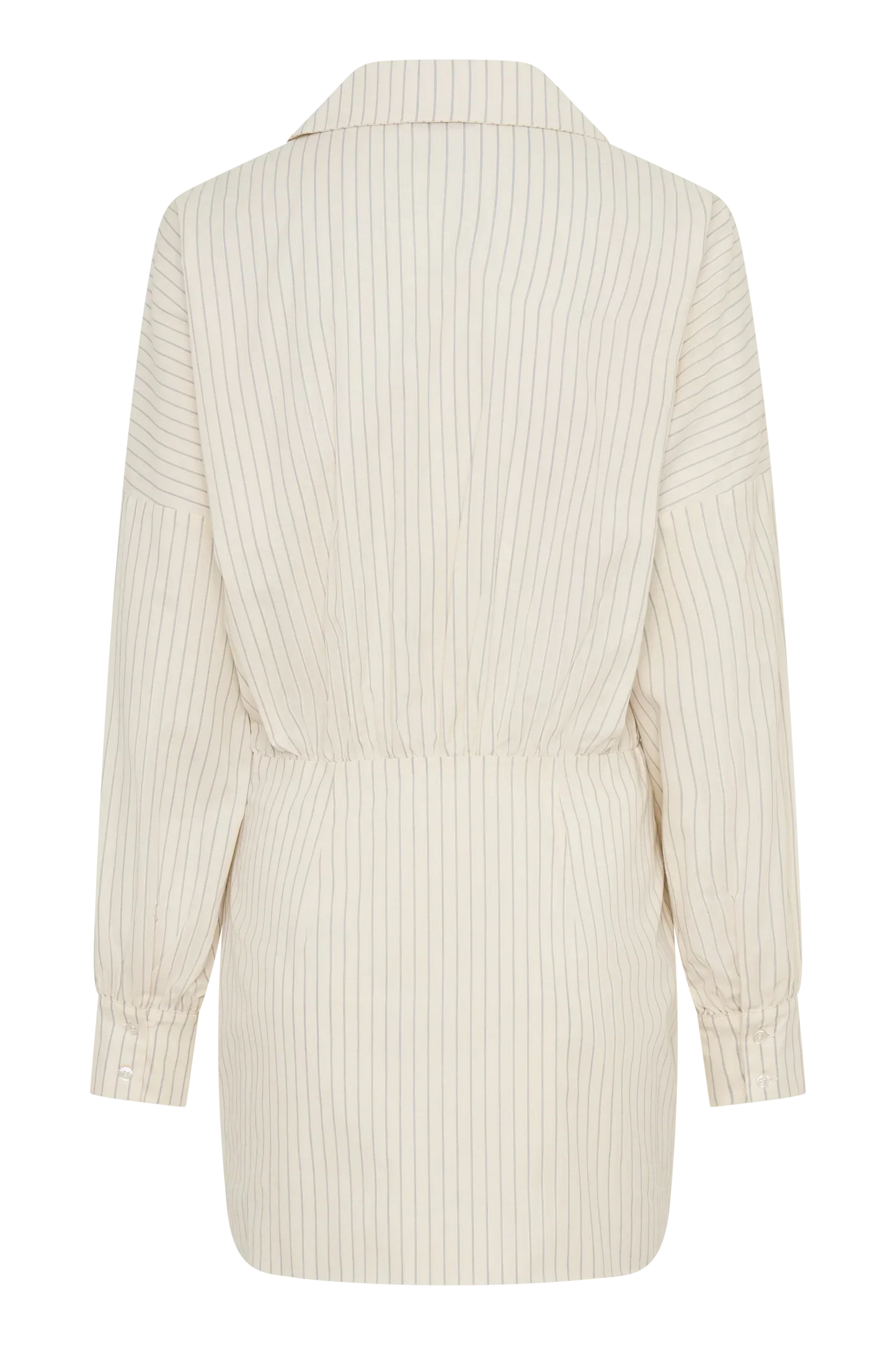 Ivy Shirt Mini Dress