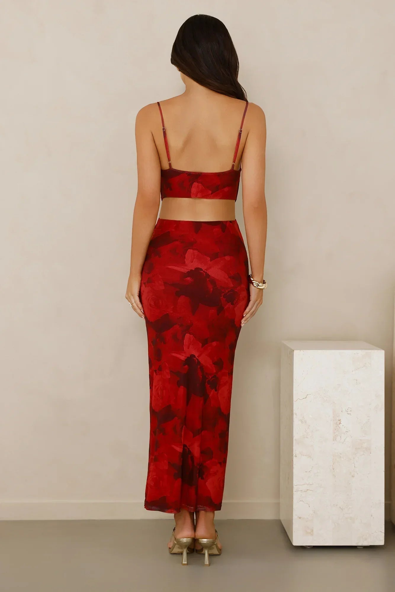 Pretty On Purpose Mesh Maxi Dress Red